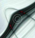 custom-img-207-copyright