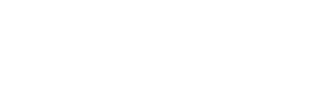 FEYZLAB